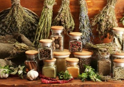 ТОП 13 НА НАЙ-ПОЛЕЗНИТЕ БИЛКИ В СВЕТА