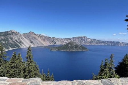 ВОДОРАСЛИ АФА. ЗА КАКВО ПОМАГАТ ВОДОРАСЛИТЕ НА АКВА СОРС?