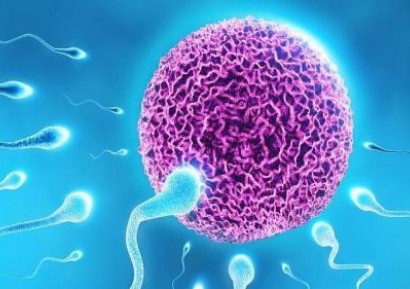 КАК ДА ПОДОБРИМ КАЧЕСТВОТО НА СПЕРМАТА | СТИРИЛИТЕТ