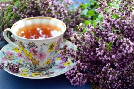 ЧАЙ ОТ МАЩЕРКА | МАЩЕРКА ПОЛЗИ | МАСЛО ОТ МАЩЕРКА