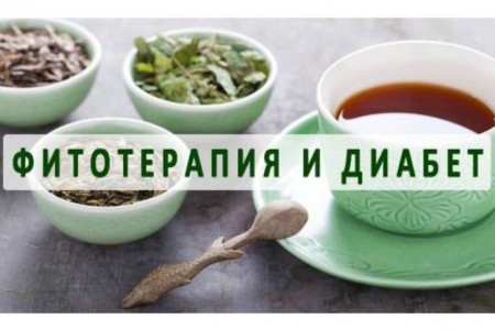 БИЛКИ ЗА ДИАБЕТ | ДИАБЕТ ТИП 2 | ДИАБЕТ ТИП 1