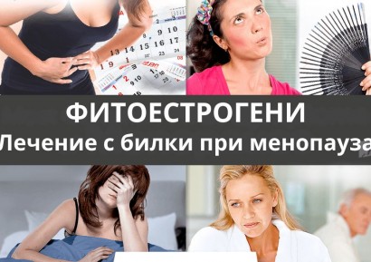 ФИТОЕСТРОГЕНИ | БИЛКИ ПРИ МЕНОПАУЗА | РЕЦЕПТИ