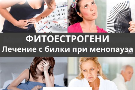 ФИТОЕСТРОГЕНИ | БИЛКИ ПРИ МЕНОПАУЗА | РЕЦЕПТИ