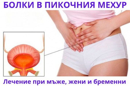 БОЛКИ В ПИКОЧНИЯ МЕХУР | ПРИ МЪЖЕ И ЖЕНИ | ЛЕЧЕНИЕ | БИЛКИ