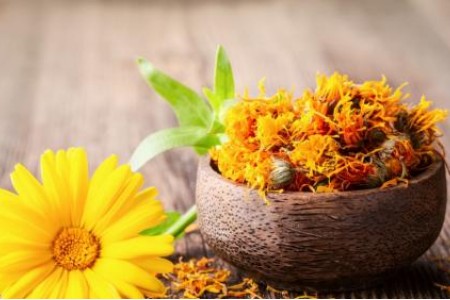 ЧАЙ ОТ НЕВЕН КАКВО ЛЕКУВА | НЕВЕН ПОЛЗИ | МАСЛО ОТ НЕВЕН