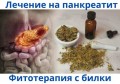 ИЗЛЕКУВАХ СЕ ОТ ПАНКРЕАТИТ | ИЗПИТАНИ БИЛКОВИ РЕЦЕПТИ