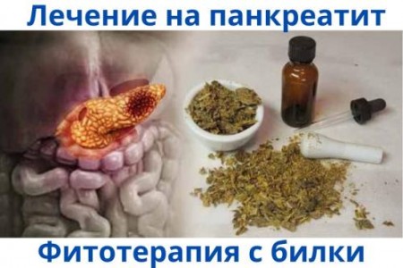 ИЗЛЕКУВАХ СЕ ОТ ПАНКРЕАТИТ | ИЗПИТАНИ БИЛКОВИ РЕЦЕПТИ