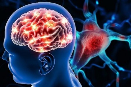 КАКВО Е ЦИТИКОЛИН | КАК И ЗАЩО ПОМАГА ПРИ ИНСУЛТ