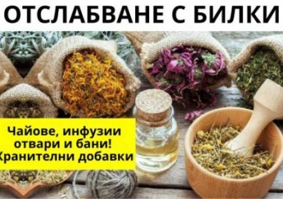 БИЛКОВИ РЕЦЕПТИ ЗА ОТСЛАБВАНЕ| ХРАНИТЕЛНИ ДОБАВКИ, ДЕЙСТВИЕ
