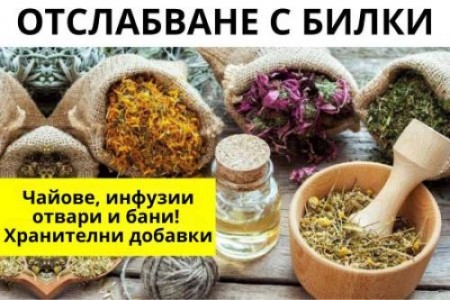 БИЛКОВИ РЕЦЕПТИ ЗА ОТСЛАБВАНЕ| ХРАНИТЕЛНИ ДОБАВКИ, ДЕЙСТВИЕ