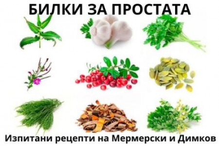БИЛКИ ЗА ПРОСТАТА | ИЗПИТАНИ РЕЦЕПТИ НА ДИМКОВ И МЕРМЕРСКИ