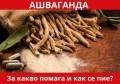 АШВАГАНДА ПОЛЗИ | НАЙ-ДОБРАТА АШВАГАНДА | КАК СЕ ПРИЕМА