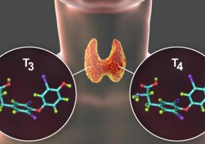 ХАШИМОТО СИМПТОМИ | ЗАБРАНЕНИ ХРАНИ | ИЗСЛЕДВАНИЯ И ЛЕЧЕНИЕ