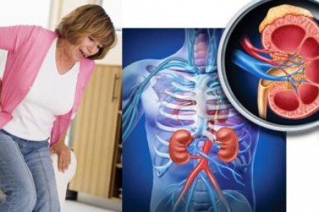 БЪБРЕЧНИ ЗАБОЛЯВАНИЯ ПРИ МЪЖЕТЕ И ЖЕНИТЕ