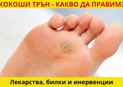 ЕФИКАСНО ЛЕКАРСТВО ЗА КОКОШИ ТРЪН И ДОМАШНО ЛЕЧЕНИЕ С БИЛКИ