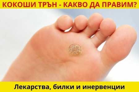 ЕФИКАСНО ЛЕКАРСТВО ЗА КОКОШИ ТРЪН И ДОМАШНО ЛЕЧЕНИЕ С БИЛКИ