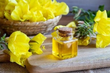 МАСЛО ОТ ВЕЧЕРНА ИГЛИКА ПОЛЗИ И ВРЕДИ | КАК СЕ ПРИЕМА