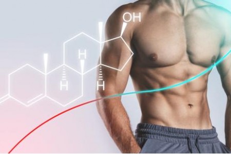 КАК ДА ПОВИШИМ НИВОТО НА ТЕСТОСТЕРОН ПРИ МЪЖЕТЕ?