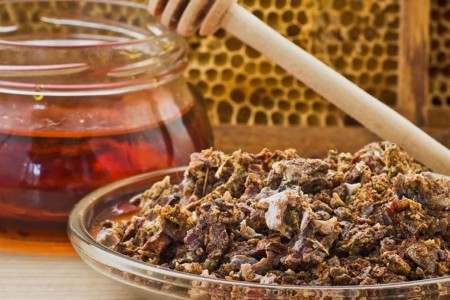 ПРОПОЛИС ПОЛЗИ | КАК СЕ ПРИЕМА И КАКВО ЛЕКУВА