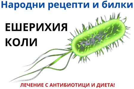 НАРОДНИ РЕЦЕПТИ ЗА ЕШЕРИХИЯ КОЛИ | АНТИБИОТИК И ДИЕТА