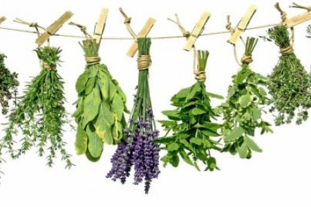 БИЛКИ ПРОТИВ АЛКОХОЛИЗЪМ! БЪРЗО ЛЕЧЕНИЕ НА АЛКОХОЛИЗЪМ