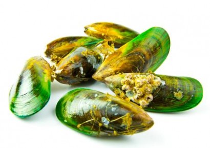 ЗЕЛЕНОУСТА МИДА - КРАЙ НА СТАВНИТЕ БОЛКИ И ВЪЗПАЛЕНИЯТА