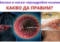 ПОВИШЕНИ ЧЕРНОДРОБНИ ЕНЗИМИ | БИЛКИ, ДИЕТА И ЛЕКАРСТВА