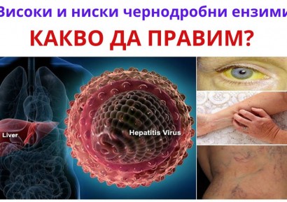 ПОВИШЕНИ ЧЕРНОДРОБНИ ЕНЗИМИ | БИЛКИ, ДИЕТА И ЛЕКАРСТВА