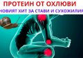 ЕКСТРАКТ ОТ ОХЛЮВИ ЗА СТАВИ | КАК ДЕЙСТВА И ЗА КАКВО ПОМАГА