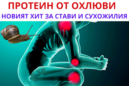 ЕКСТРАКТ ОТ ОХЛЮВИ ЗА СТАВИ | КАК ДЕЙСТВА И ЗА КАКВО ПОМАГА