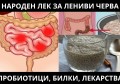 НАРОДЕН ЛЕК ЗА ЛЕНИВИ ЧЕРВА | БИЛКИ, ПРОБИОТИЦИ И ЛЕКАРСТВА