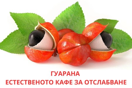 ГУАРАНА ПОЛЗИ И СТРАНИЧНИ ЕФЕКТИ | КАК ПОМАГА ЗА ОТСЛАБВАНЕ