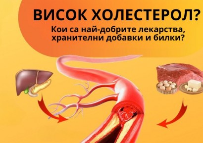 ЛЕКАРСТВА ЗА ХОЛЕСТЕРОЛ - БИЛКИ ЗА ХОЛЕСТЕРОЛ