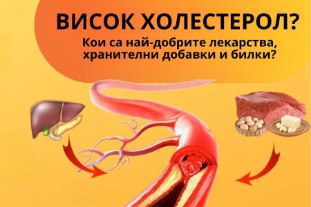 ЛЕКАРСТВА ЗА ХОЛЕСТЕРОЛ - БИЛКИ ЗА ХОЛЕСТЕРОЛ