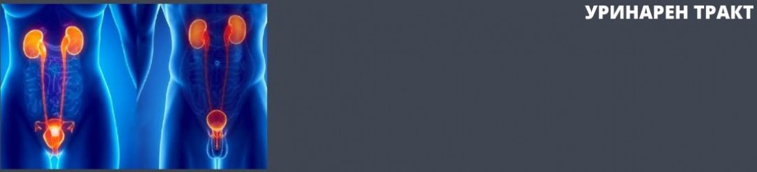 Уринарен тракт