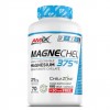 AMIX MagneChel / Magnesium Bisglycinate Chelate,  210капс