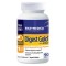 Digest Gold with ATPro ENZYMEDICA, 90капс - Храносмилателен бустер