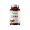 Гъба Чага, екстракт, 60капс - натурален биостимулатор