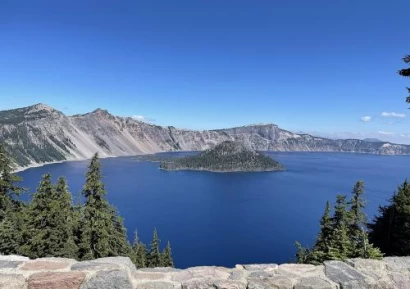 ВОДОРАСЛИ АФА. ЗА КАКВО ПОМАГАТ ВОДОРАСЛИТЕ НА АКВА СОРС?