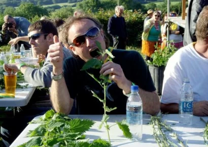 КАКВО СЪДЪРЖА КОПРИВАТА?|КОПРИВА ПОЛЗИ | РЕЦЕПТИ С КОПРИВА