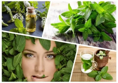 ЧАЙ ОТ МЕНТА | КАКВО ЛЕКУВА МЕНТАТА | ДИВА МЕНТА