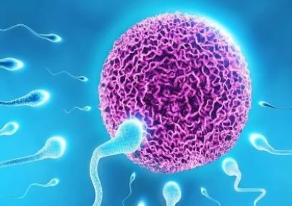 КАК ДА ПОДОБРИМ КАЧЕСТВОТО НА СПЕРМАТА | СТИРИЛИТЕТ