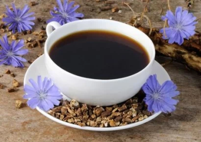 КАФЕ ОТ ЦИКОРИЯ | ЦИКОРИЯ ПОЛЗИ | КАКВО ЛЕКУВА ЦИКОРИЯТА