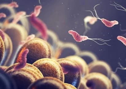 ХЕЛИКОБАКТЕР | ХЕЛИКОБАКТЕР ПИЛОРИ ЛЕЧЕНИЕ | ИЗСЛЕДВАНИЯ