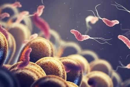 ХЕЛИКОБАКТЕР | ХЕЛИКОБАКТЕР ПИЛОРИ ЛЕЧЕНИЕ | ИЗСЛЕДВАНИЯ