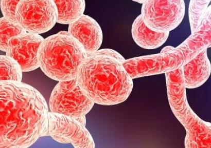 ВАГИНАЛНА КАНДИДОЗА | КАНДИДОЗА ПРИ МЪЖЕ | ЛЕЧЕНИЕ С БИЛКИ