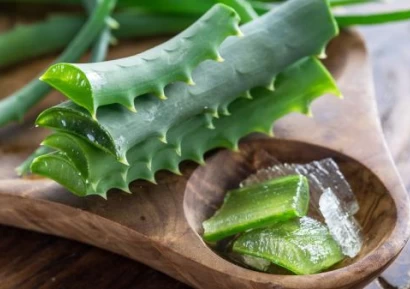 АЛОЕ ВЕРА ЗА ПИЕНE | КАКВО ЛЕКУВА | СХЕМА ЗА ПИЕНЕ