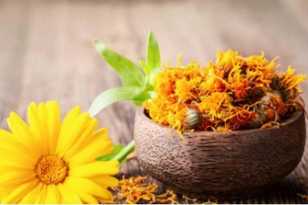 ЧАЙ ОТ НЕВЕН КАКВО ЛЕКУВА | НЕВЕН ПОЛЗИ | МАСЛО ОТ НЕВЕН