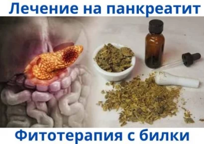 ИЗЛЕКУВАХ СЕ ОТ ПАНКРЕАТИТ | ИЗПИТАНИ БИЛКОВИ РЕЦЕПТИ