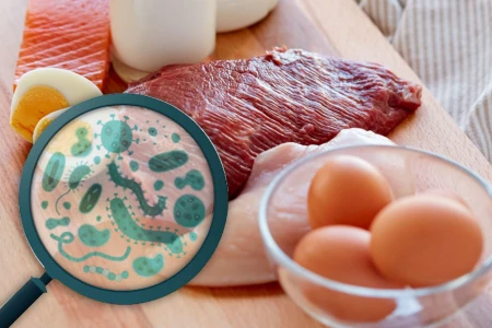 САЛМОНЕЛА СИМПТОМИ-БЪРЗ ТЕСТ ЗА САЛМОНЕЛА |ЛЕКАРСТВА, БИЛКИ